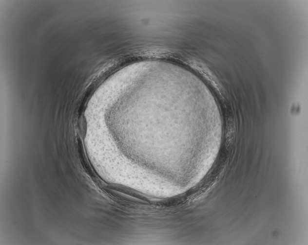 X0000097300585200803141534