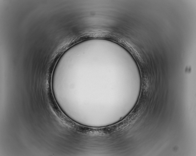 X0000097300586200803141534