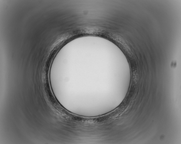 X0000097300587200803141534