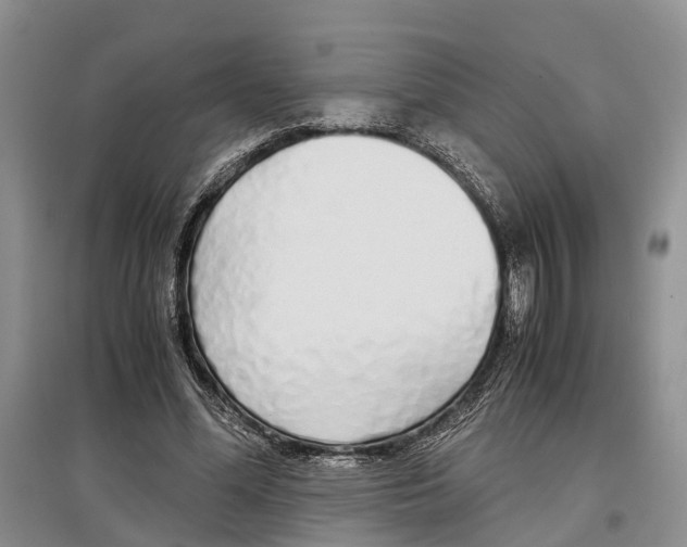 X0000097300588200803141534