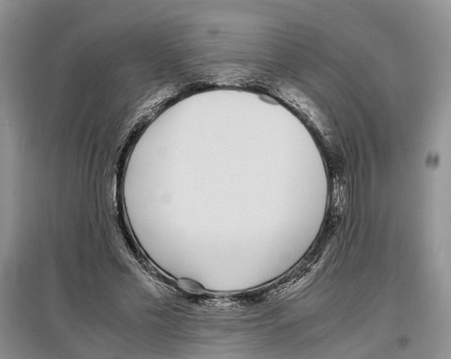 X0000097300589200803141534