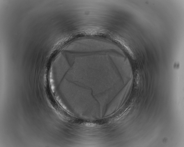 X0000097300590200803141534
