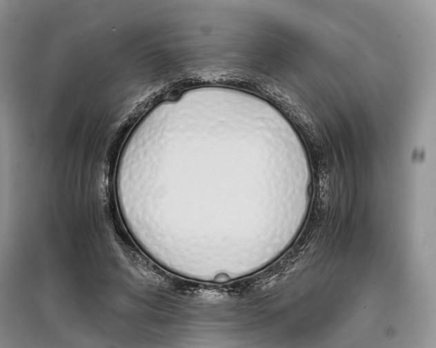 X0000097300592200803141534