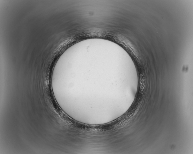 X0000097300593200803141534
