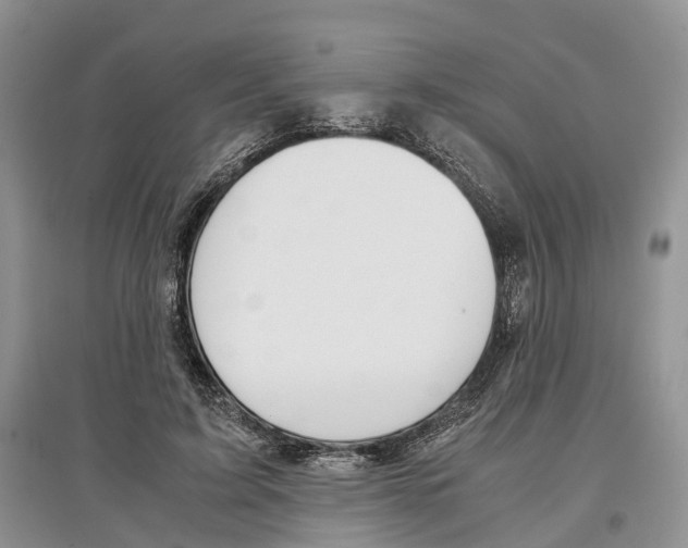 X0000097300595200803141534