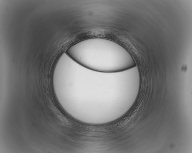 X0000097300597200803141534