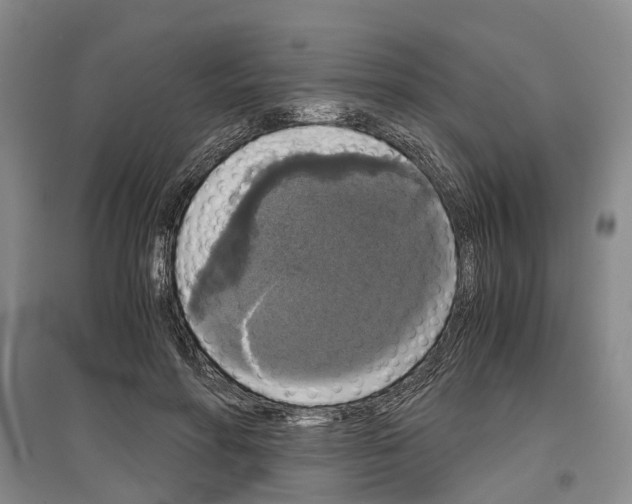 X0000097300598200803141534
