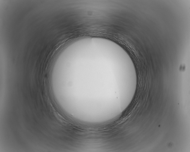 X0000097300599200803141534