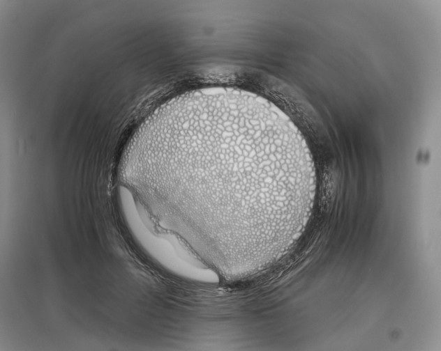 X0000097300600200803141534