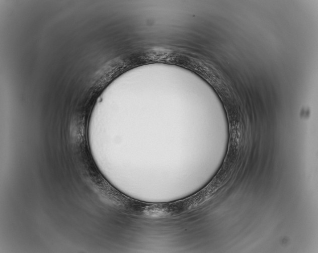 X0000097300602200803141534