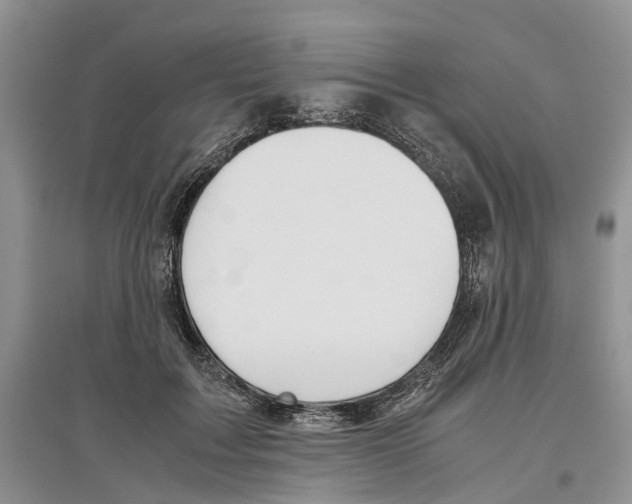 X0000097300603200803141534