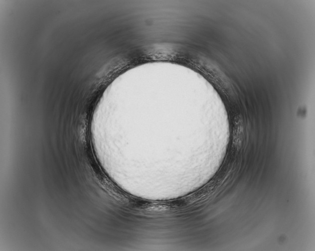 X0000097300604200803141534