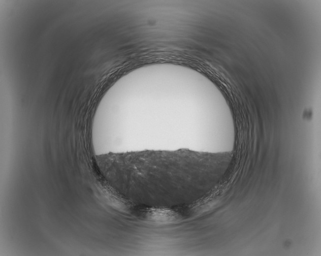 X0000097300605200803141534