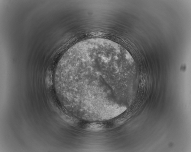 X0000097300606200803141534