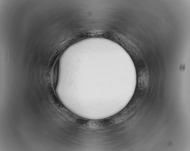 X0000097300608200803141534