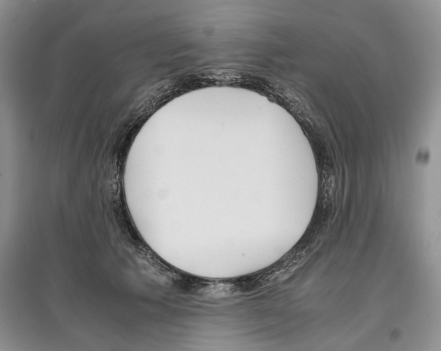 X0000097300609200803141534