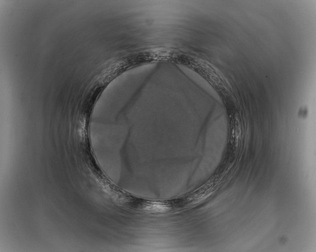 X0000097300610200803141534