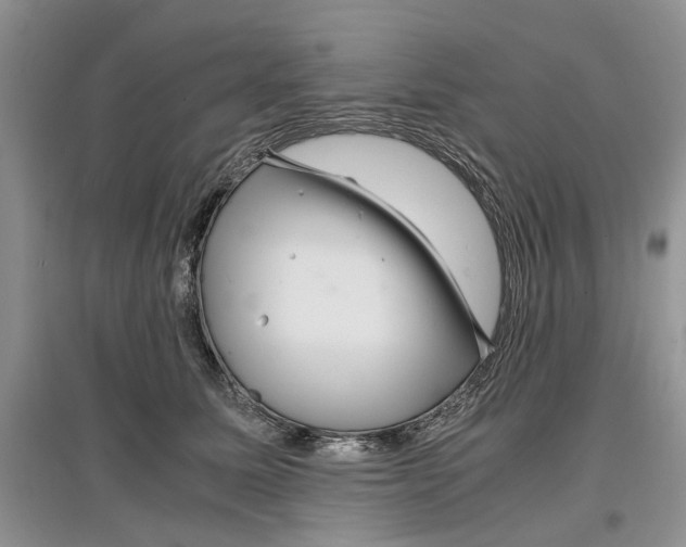 X0000097300611200803141534