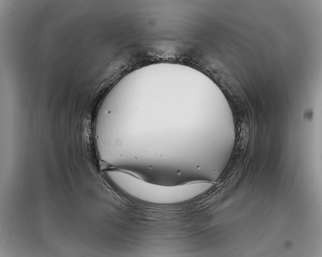 X0000097300612200803141534