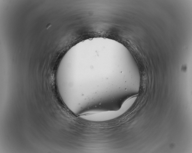 X0000097300613200803141534
