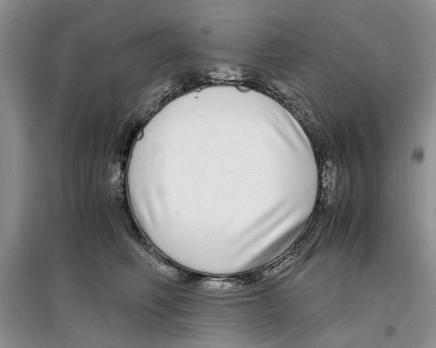 X0000097300614200803141533