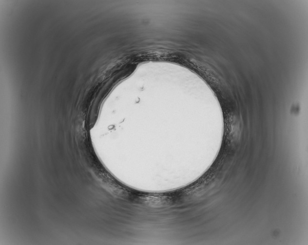 X0000097300615200803141533
