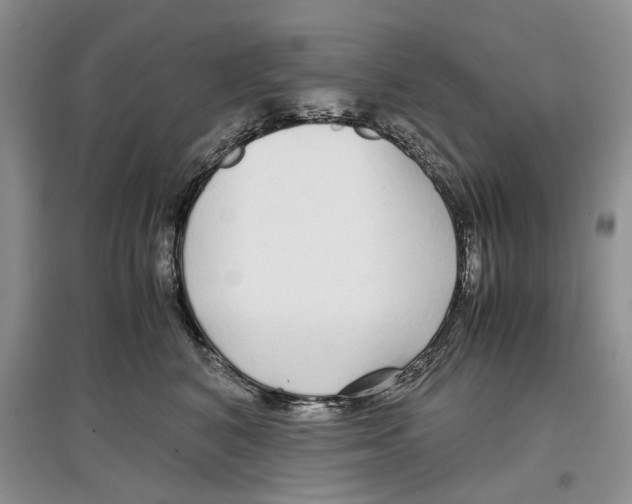 X0000097300616200803141533