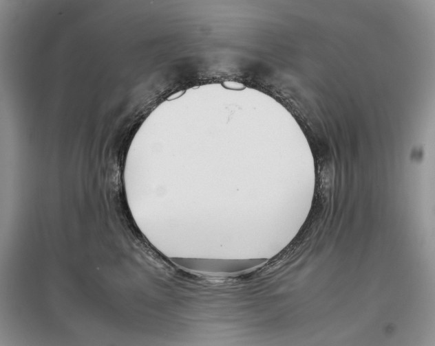 X0000097300617200803141533
