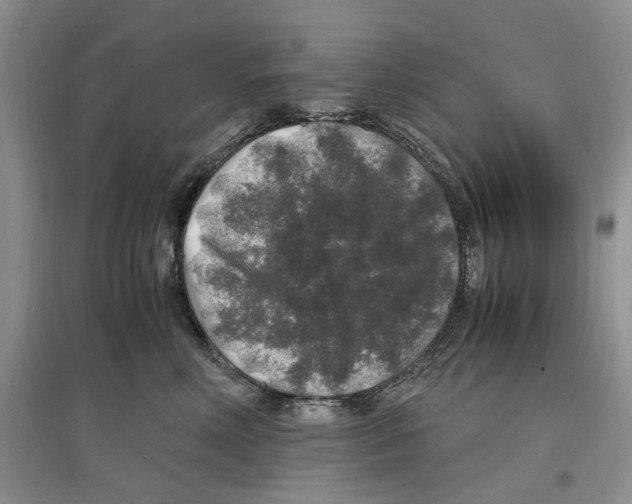 X0000097300618200803141533