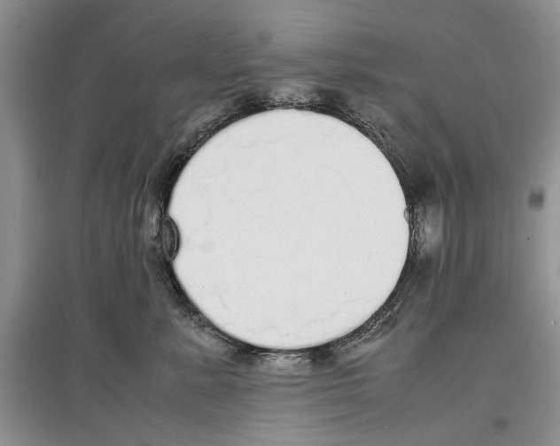 X0000097300619200803141533