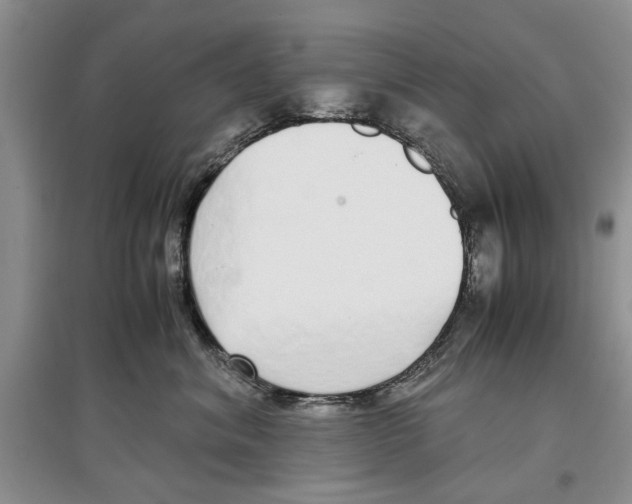 X0000097300620200803141533