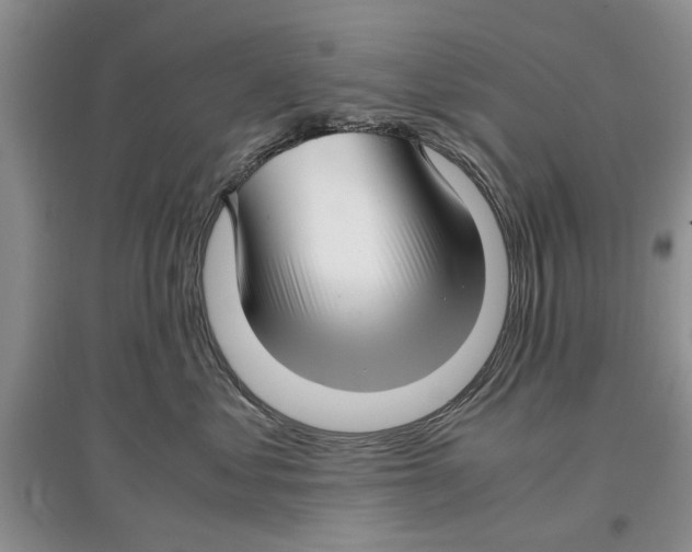 X0000097300621200803141533