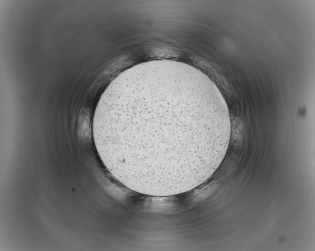 X0000097300622200803141533