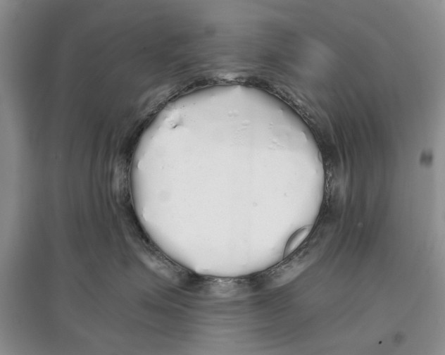 X0000097300623200803141533