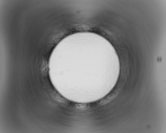 X0000097300624200803141533