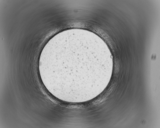 X0000097300625200803141533