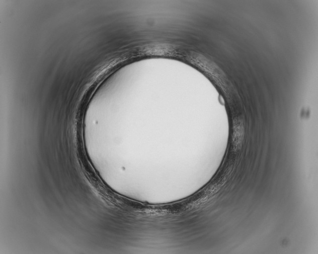 X0000097300626200803141533