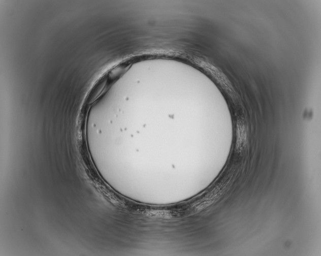 X0000097300628200803141533