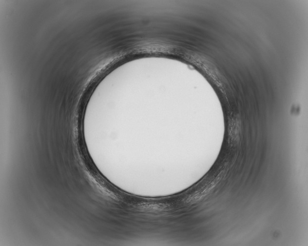 X0000097300629200803141533