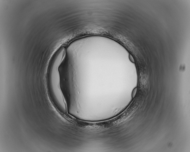 X0000097300630200803141533