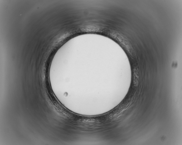 X0000097300631200803141533
