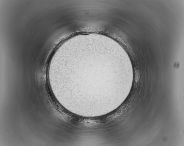 X0000097300632200803141533
