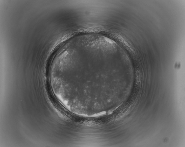 X0000097300634200803141533