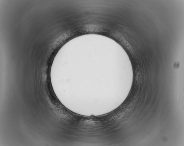 X0000097300635200803141533