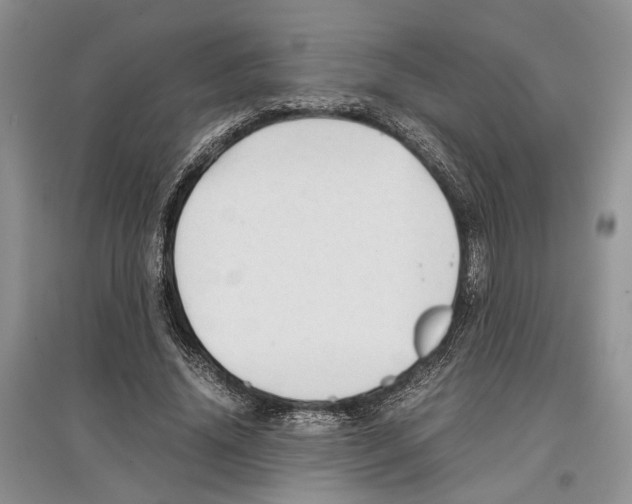 X0000097300636200803141533