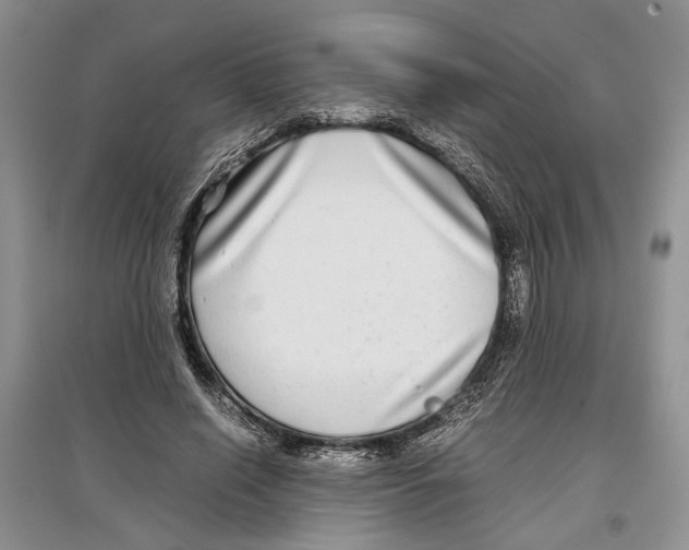 X0000097300638200803141533