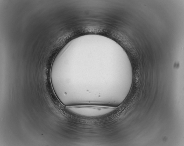 X0000097300639200803141533