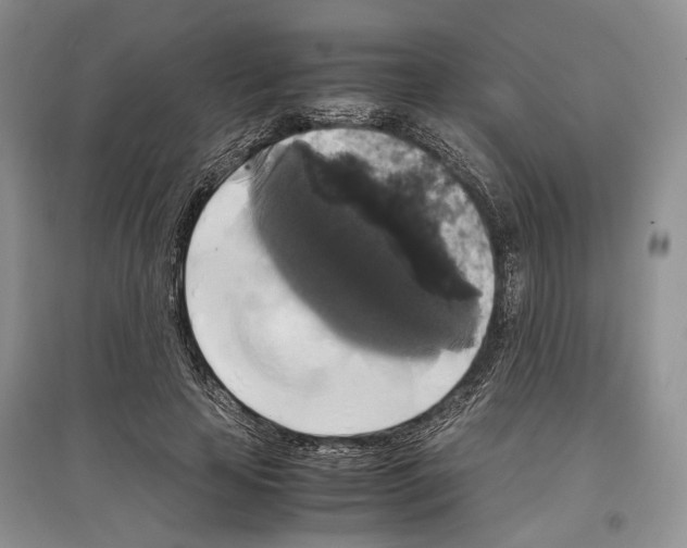 X0000097300641200803141533