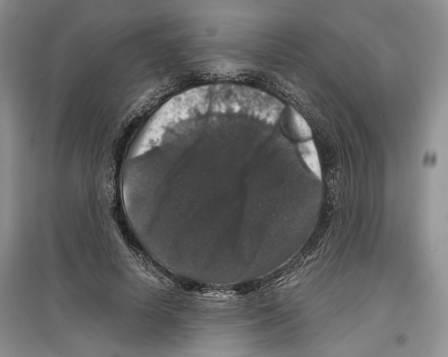 X0000097300642200803141533
