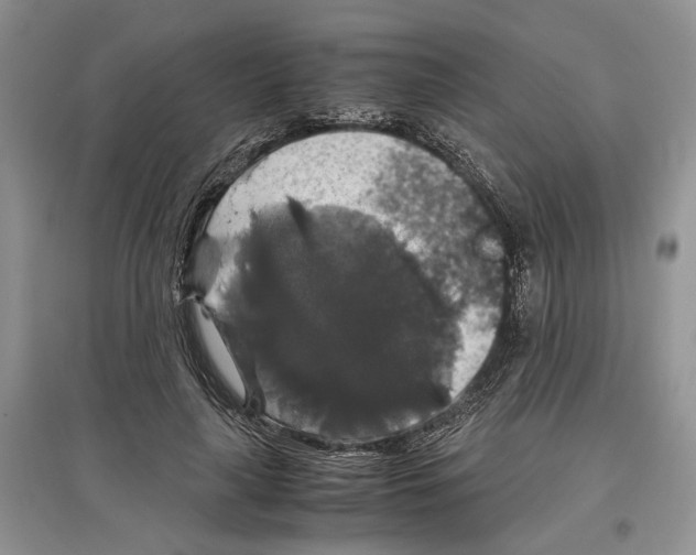 X0000097300643200803141533